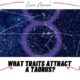 What Traits Attract a Taurus featured
